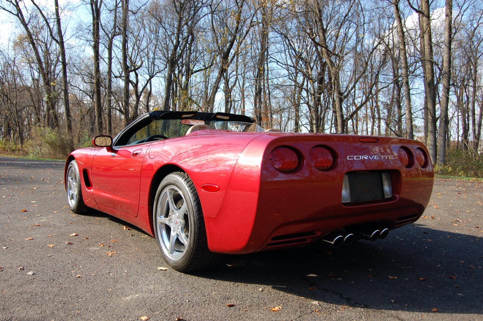 1998 Burgundy /Beige Leather Chevrolet Corvette (1G1YY32G9W5) with an 5.7 liter V8 engine, Automatic transmission, located at 6528 Lower York Road, New Hope, PA, 18938, (215) 862-9555, 40.358707, -74.977882 - Photo#23